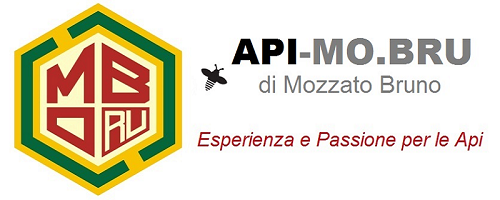 API.MO.BRU Logo